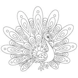 Pavo Real - Dibujos para colorear gratis