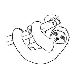 Perezoso - Dibujos para colorear gratis