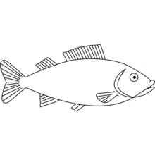 Pez - Dibujos para colorear gratis