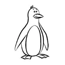 Pingüino - Dibujos para colorear gratis
