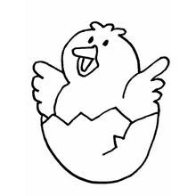 Dibujo de Pollito saliendo del huevo para colorear