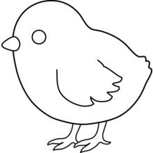 Dibujo de Pollito redondo sobre finas patas para colorear