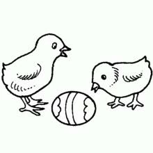 Dibujo de Pollito pareja frente a un huevo decorado para colorear