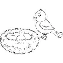 Dibujo de Pollito junto a un nido lleno de huevos para colorear
