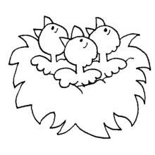 Dibujo de Pollito tres pollitos en un nido para colorear