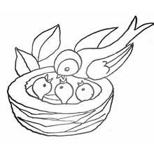 Dibujo de Pollito alimentado por su madre en un nido para colorear