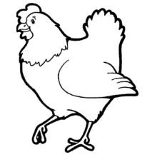 Pollo - Dibujos para colorear gratis