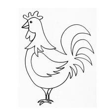 Dibujo de Gallo de perfil con cresta y barbilla para colorear Dibujo de Gallo de perfil con cresta y barbilla para colorear