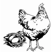 Dibujo de Pollo de pie junto a un nido de huevos para colorear Dibujo de Pollo de pie junto a un nido de huevos para colorear
