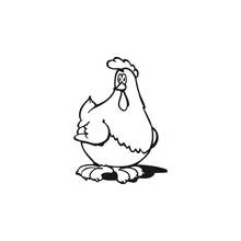 Dibujo de Pollo de pie con mirada curiosa para colorear Dibujo de Pollo de pie con mirada curiosa para colorear