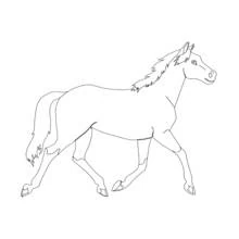 Dibujo de Poni al trote para colorear