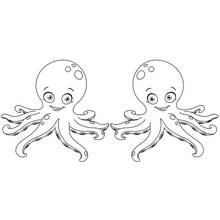 Dibujo de Pulpo en pareja sonriendo cara a cara para colorear