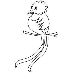 Quetzal - Dibujos para colorear gratis