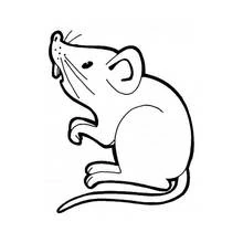 Rata - Dibujos para colorear gratis