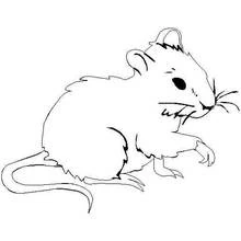 Dibujo de Ratón sentado con una pata levantada para colorear Dibujo de Ratón sentado con una pata levantada para colorear