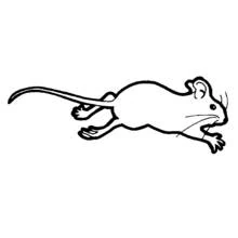 Dibujo de Ratón corriendo con la cola extendida para colorear Dibujo de Ratón corriendo con la cola extendida para colorear
