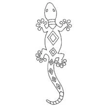 Salamandra - Dibujos para colorear gratis