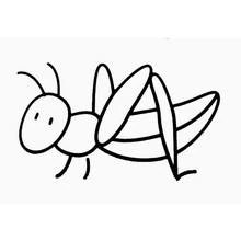 Dibujo de Saltamontes con ojos grandes y alas plegadas para colorear