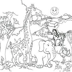 Selva - Dibujos para colorear gratis