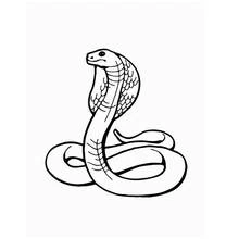 Dibujo de Serpiente cobra erguida para colorear