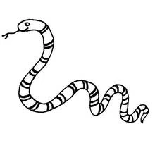 Dibujo de Serpiente ondulando por la página para colorear
