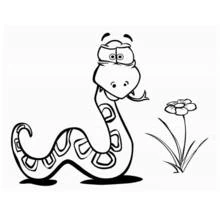 Dibujo de Serpiente junto a una flor para colorear