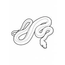 Dibujo de Serpiente enrollada en curvas suaves para colorear