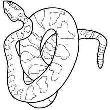 Dibujo de Serpiente enroscada con piel moteada para colorear
