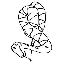 Dibujo de Serpiente enroscada con lengua bífida para colorear