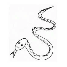 Dibujo de Serpiente de cuerpo sinuoso y lengua bífida para colorear