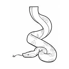 Dibujo de Serpiente de cuerpo sinuoso y lengua bífida para colorear