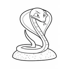 Dibujo de Serpiente cobra con capucha desplegada para colorear