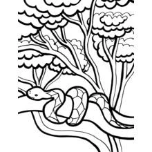 Dibujo de Serpiente enroscada en una rama de árbol para colorear