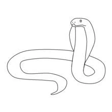 Dibujo de Serpiente cobra enrollada con la cabeza alzada para colorear