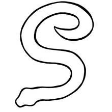 Dibujo de Serpiente enroscada en forma de letra S para colorear