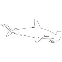 Dibujo de Tiburón con cabeza en forma de martillo para colorear