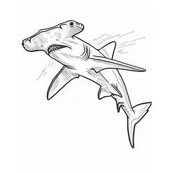 Tiburón martillo - Dibujos para colorear gratis