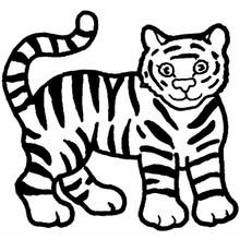 Dibujo de Tigre de pie con la cola enroscada para colorear