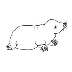 Topo - Dibujos para colorear gratis