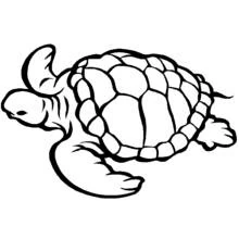 Dibujo de Tortuga marina de perfil con cara sonriente para colorear