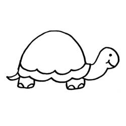 Tortuga - Dibujos para colorear gratis