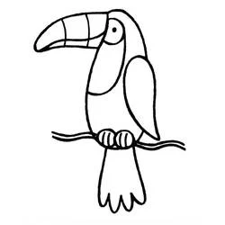 Dibujo de Tucán con pico rayado sobre rama fina para colorear Dibujo de Tucán con pico rayado sobre rama fina para colorear