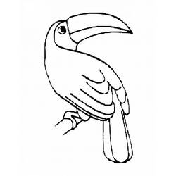 Dibujo de Tucán de perfil sobre una ramita para colorear Dibujo de Tucán de perfil sobre una ramita para colorear
