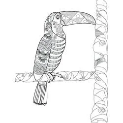 Dibujo de Tucán posado en una rama decorada para colorear Dibujo de Tucán posado en una rama decorada para colorear