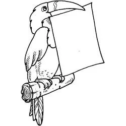 Dibujo de Tucán sosteniendo una hoja de papel para colorear Dibujo de Tucán sosteniendo una hoja de papel para colorear