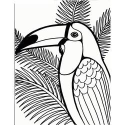 Tucán - Dibujos para colorear gratis