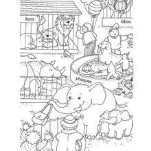 Dibujo de Zoológico con leones, focas y elefantes para colorear Dibujo de Zoológico con leones, focas y elefantes para colorear
