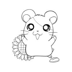 Dibujo de Hamtaro de pie junto a un girasol para colorear