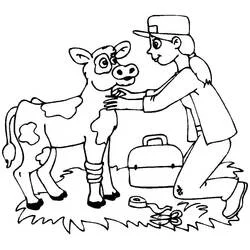 Dibujo de Veterinario examinando a una joven vaca para colorear
