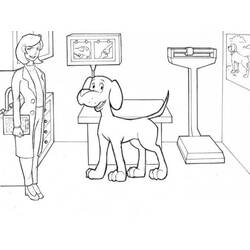 Dibujo de Veterinario examinando a un perro sobre la mesa para colorear
